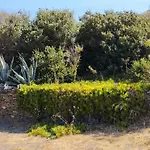 Kalamonari Nature House, Cycladic Wilderness Casa vacanze *